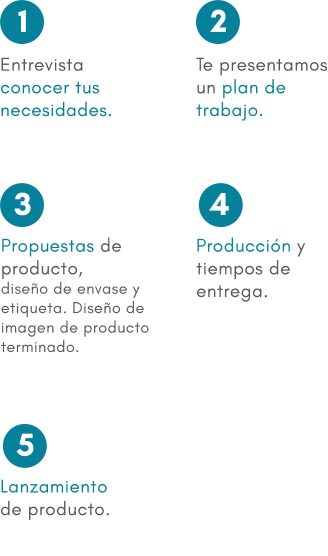 proceso-movil 1